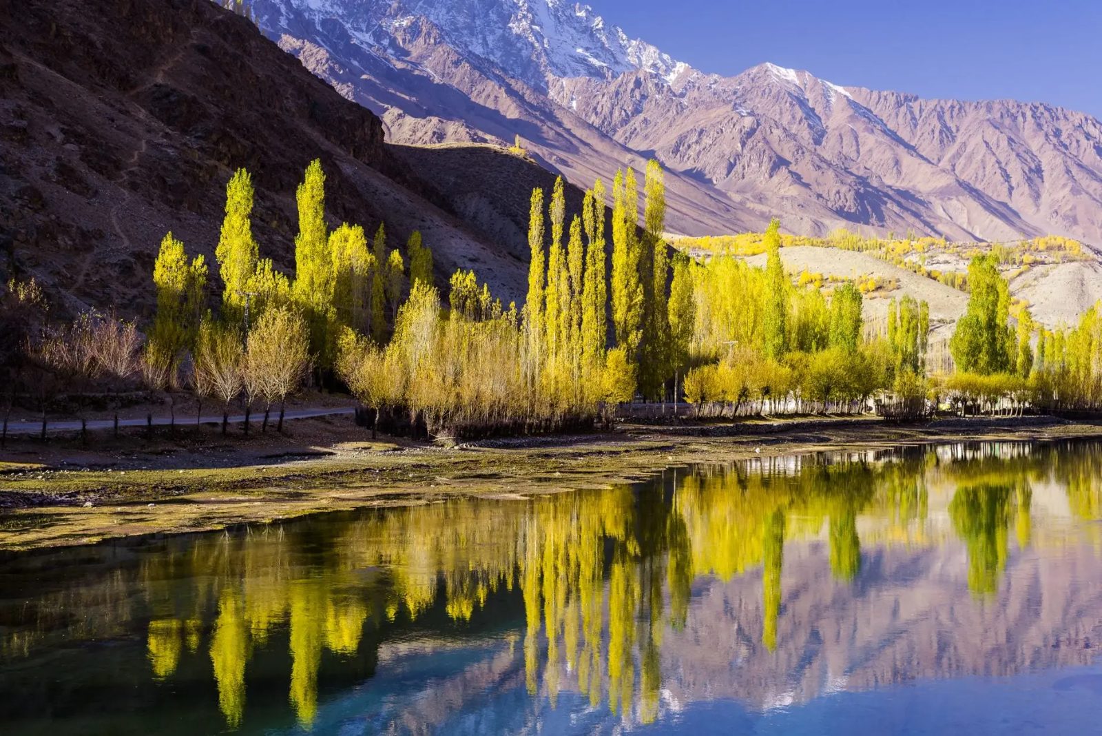 Naltar Valley, Gilgit